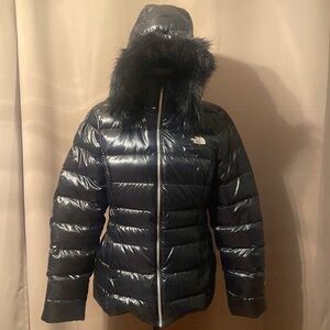 The North Face jacket 550 matte finish